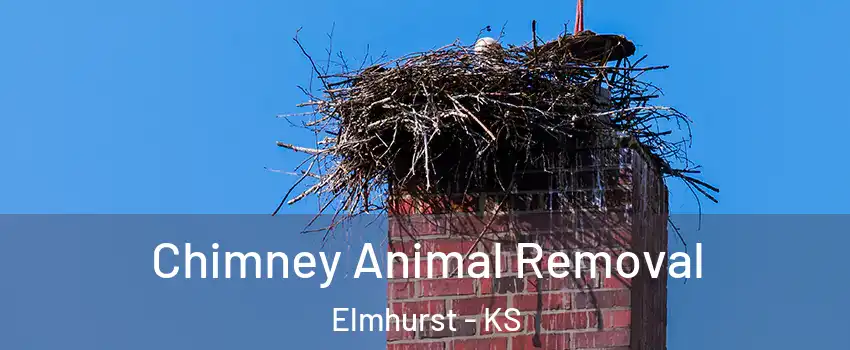 Chimney Animal Removal Elmhurst - KS