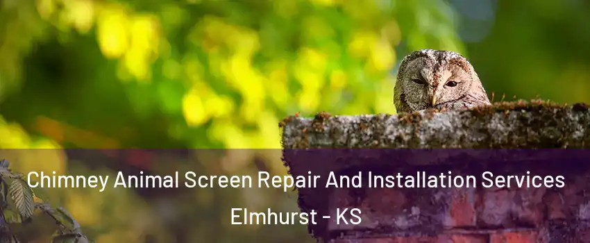 Chimney Animal Screen Repair And Installation Services Elmhurst - KS