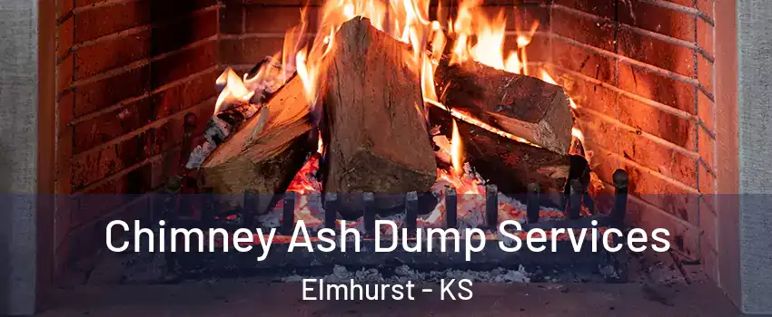 Chimney Ash Dump Services Elmhurst - KS