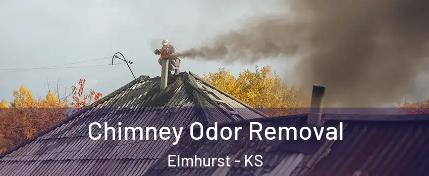 Chimney Odor Removal Elmhurst - KS