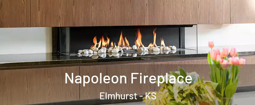 Napoleon Fireplace Elmhurst - KS