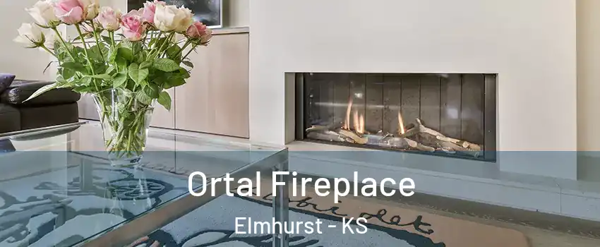 Ortal Fireplace Elmhurst - KS